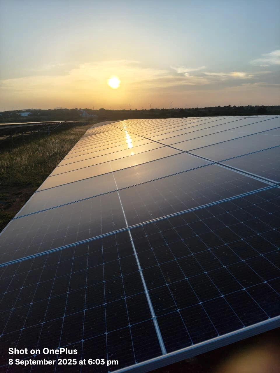 Sunset Panels Close